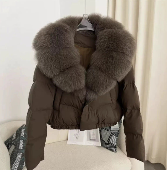 Damen nan kurz geschnittene Boxy-Pufferjacke mit extra großem Webpelzkragen und formstabilem Saum Shop Nory