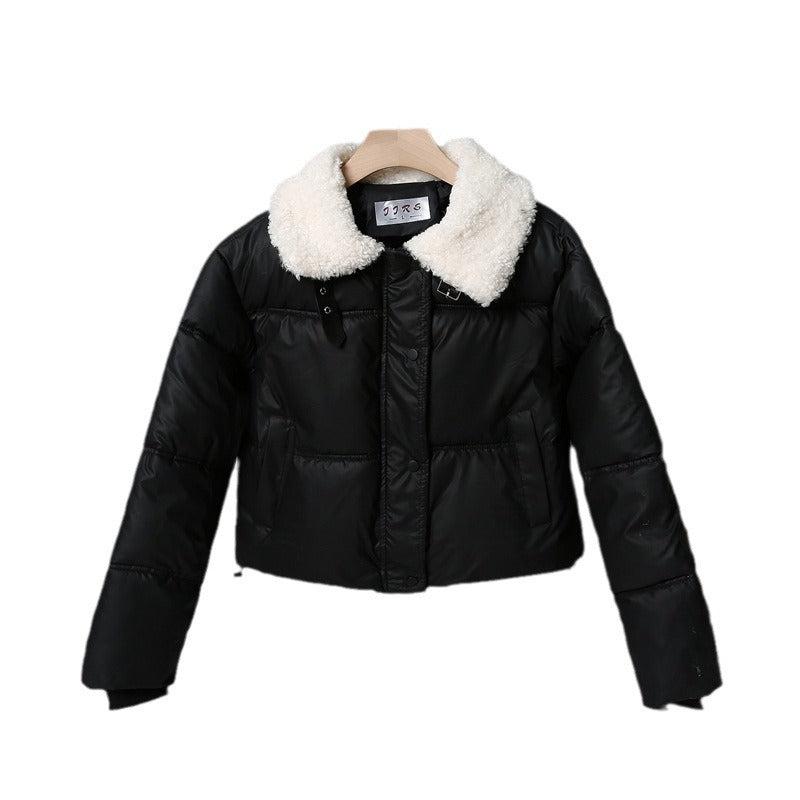 Damen nan kurze gesteppte Winterjacke mit Teddykragen, wattierter Isolierung und verdecktem Druckknopfverschluss Shop Nory