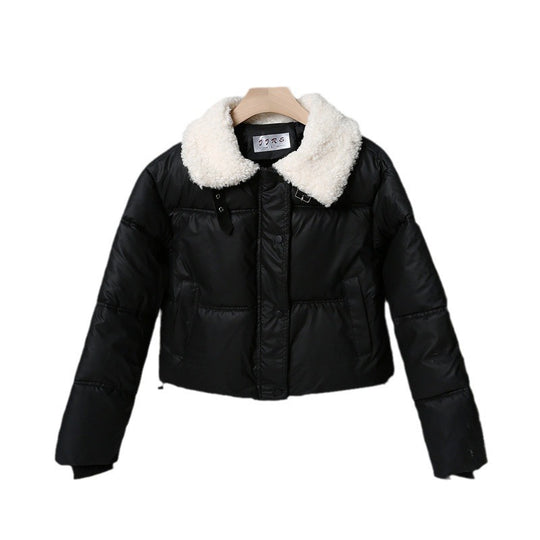 Damen nan kurze gesteppte Winterjacke mit Teddykragen, wattierter Isolierung und verdecktem Druckknopfverschluss Shop Nory