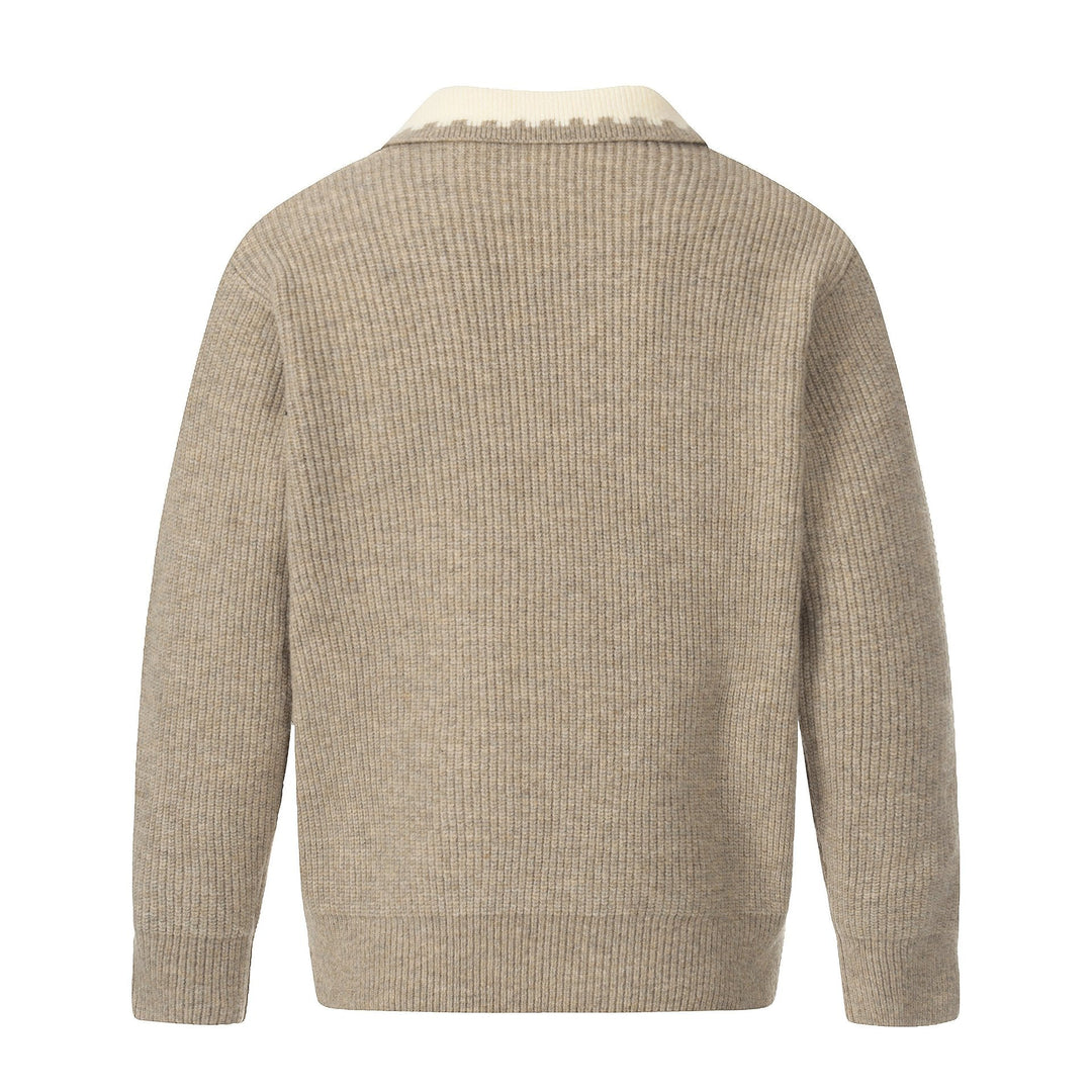 Herren Grobstrick-Polopullover mit Kontrastkragen und Halbknopfleiste Shop Nory