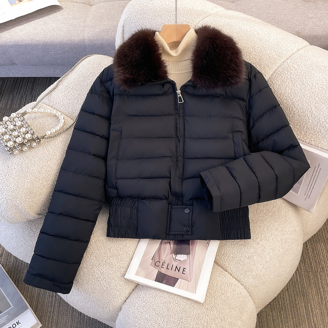 Damen nan kurze gesteppte Bomberjacke mit abnehmbarem Fellkragen und tailliertem Rippbund Shop Nory