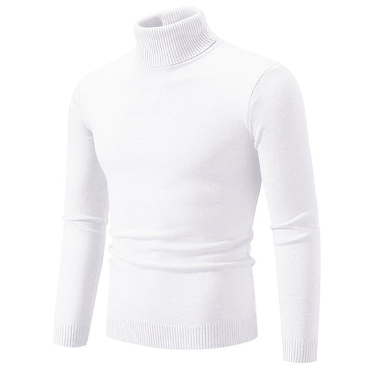 Herren eleganter Rollkragenpullover aus feiner Baumwolle