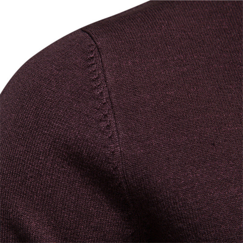Herren stilvoller Rollkragenpullover aus weicher Merinowolle ShopNory