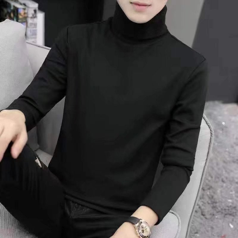 Herren Eleganter Rollkragenpullover Shop Nory