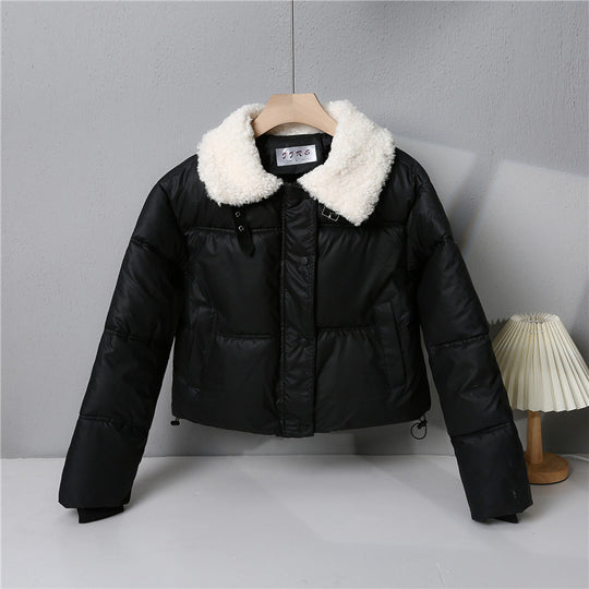 Damen nan kurze gesteppte Winterjacke mit Teddykragen, wattierter Isolierung und verdecktem Druckknopfverschluss Shop Nory