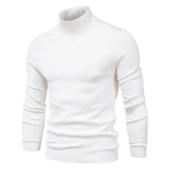 Herren modischer Rollkragenpullover aus feiner Merinowolle