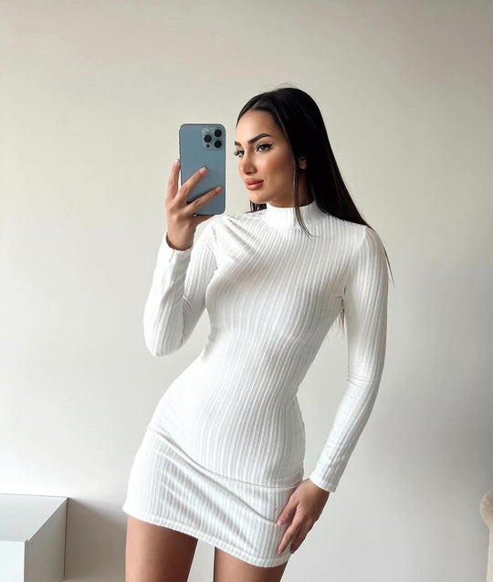Damen Enganliegendes Rippstrick-Minikleid mit Rollkragen und langen Ärmeln Shop Nory