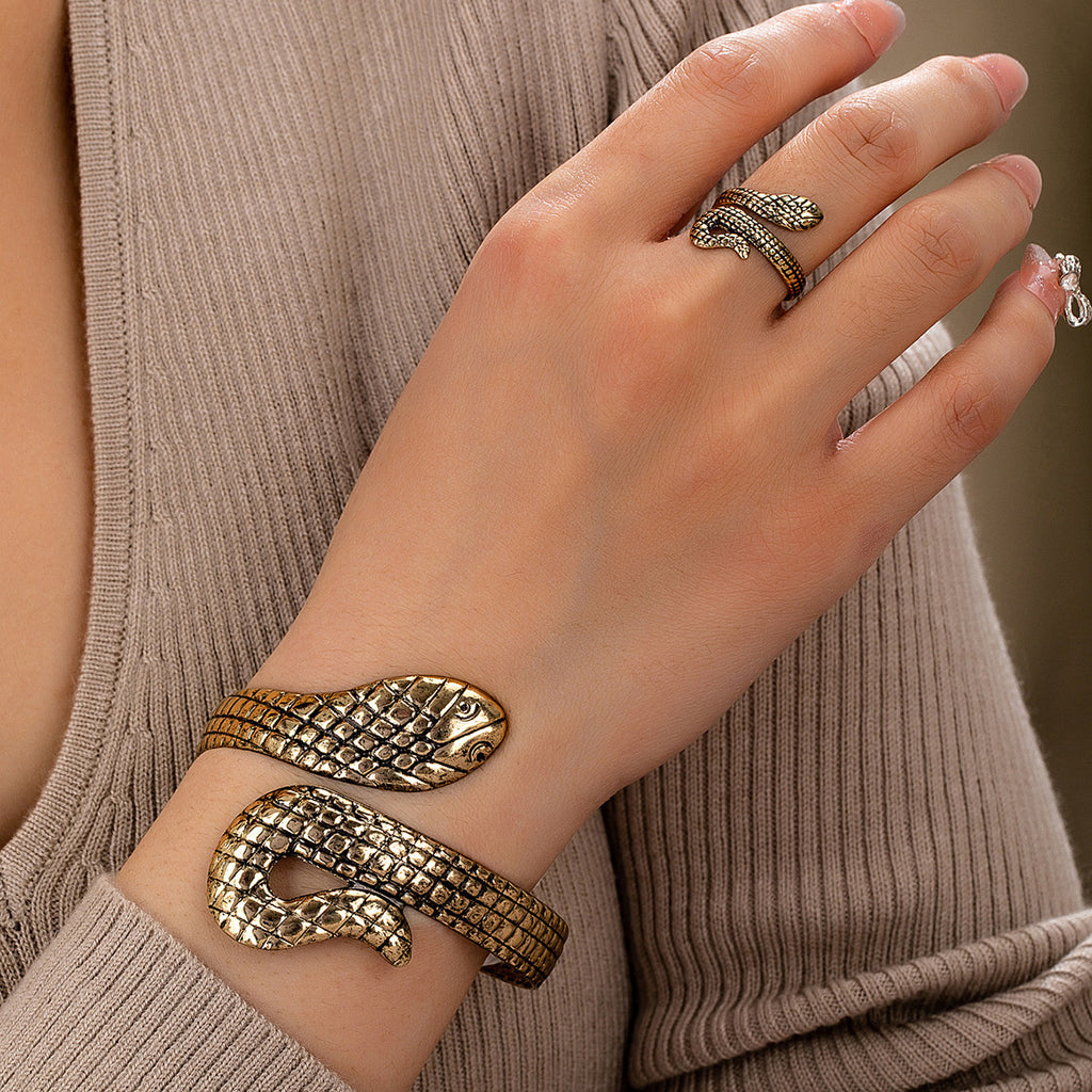 Damen Armreif und Ring im eleganten Schlangen-Design Shop Nory