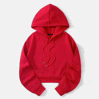 Rot