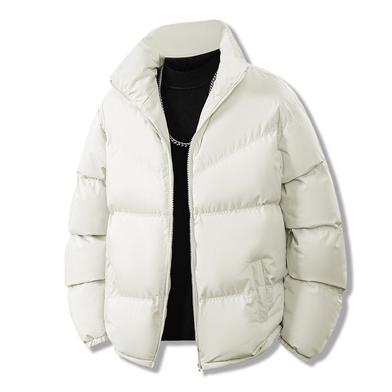 Herren Kurz gesteppte Thermo-Winterjacke mit hohem Stehkragen und winddichter Füllung Shop Nory