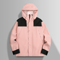 2390 Rosa