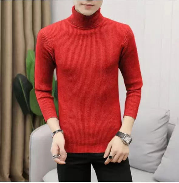 Herren Stehkragen Pullover aus ribbeltem Strick