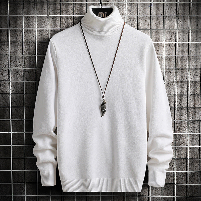 Herren bequemer Rollkragenpullover