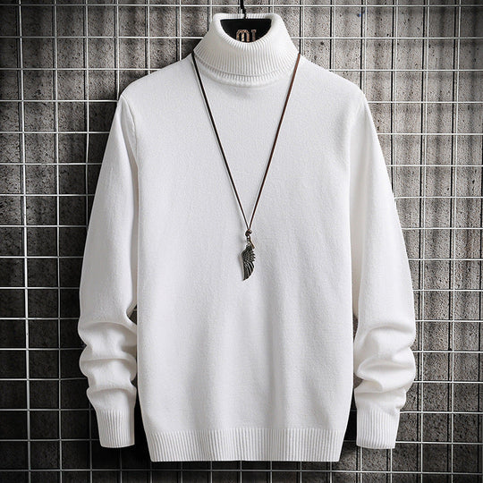 Herren bequemer Rollkragenpullover