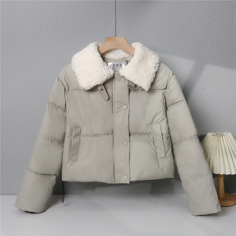 Damen nan kurze gesteppte Winterjacke mit Teddykragen, wattierter Isolierung und verdecktem Druckknopfverschluss Shop Nory