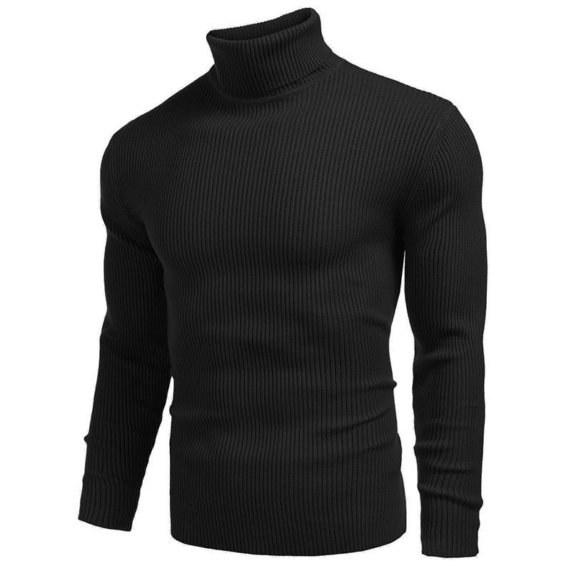 Herren Rollkragenpullover aus feinem Rippstrickmaterial