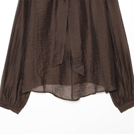 Damen Transparente Chiffonbluse mit Schleifenkragen, Volumenärmeln und Blumenbrosche Shop Nory