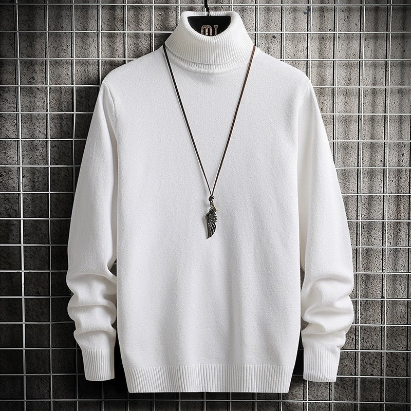 Herren bequemer Rollkragenpullover
