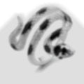 Herren Ring mit kunstvollem Schlangenmotiv Shop Nory