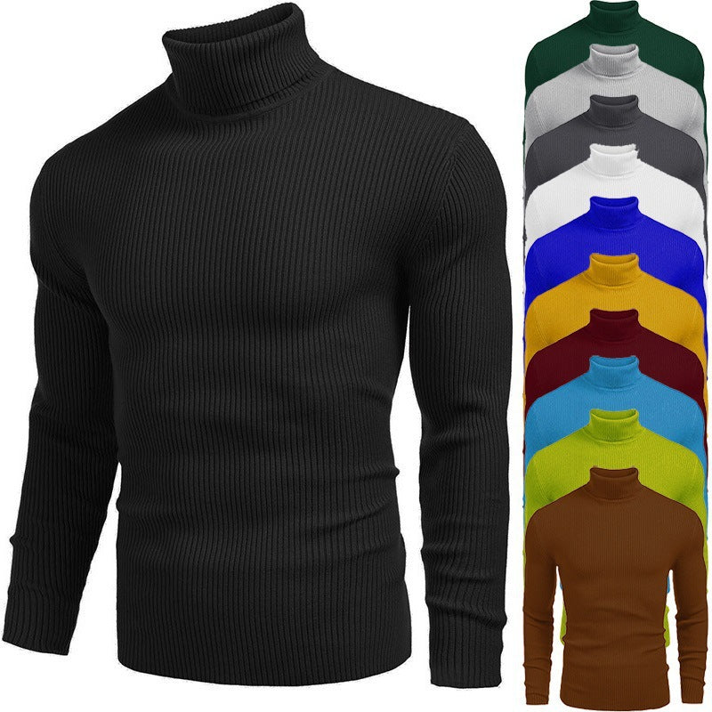 Herren Rollkragenpullover aus feinem Rippstrickmaterial