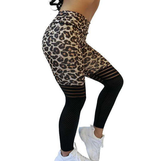 Damen Sportliche Leggings mit innovativem Panellierung-Design Shopnory