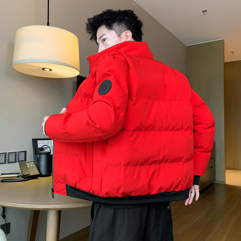 Herren gesteppte wattierte Stehkragen-Bomberjacke mit Thermo-Isolierung und elastischen Bündchen Shop Nory