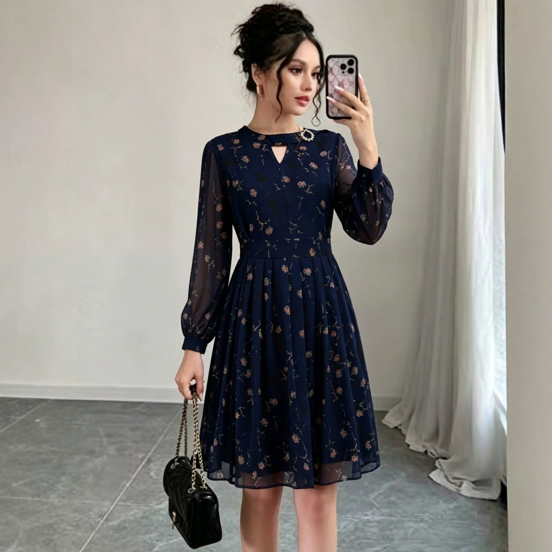 Damen Chiffon-Midikleid mit plissiertem Rock, transparenten Ärmeln und Zierbrosche Shop Nory