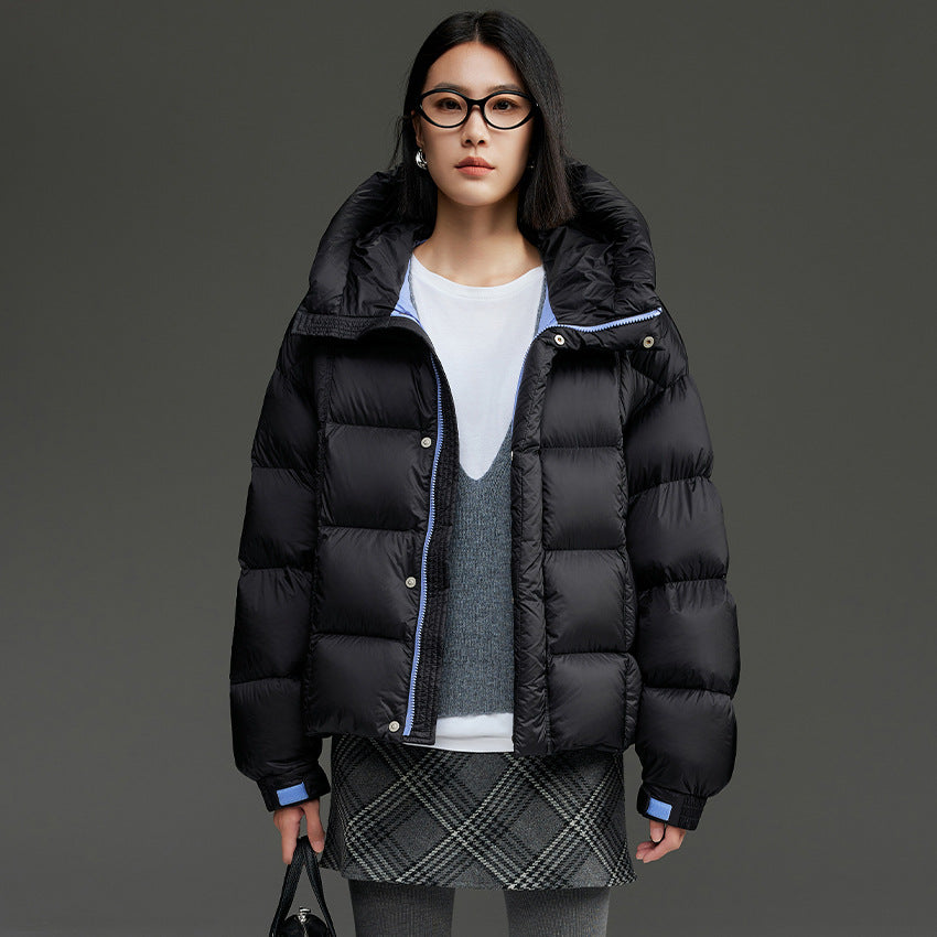 Damen Kurze Stepp-Daunenjacke mit Kapuze Shop Nory