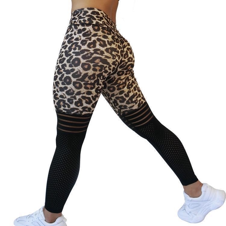Damen Sportliche Leggings mit innovativem Panellierung-Design Shopnory
