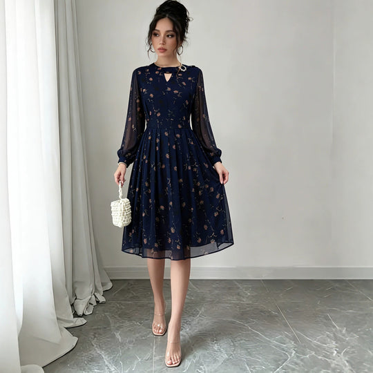 Damen Chiffon-Midikleid mit plissiertem Rock, transparenten Ärmeln und Zierbrosche Shop Nory
