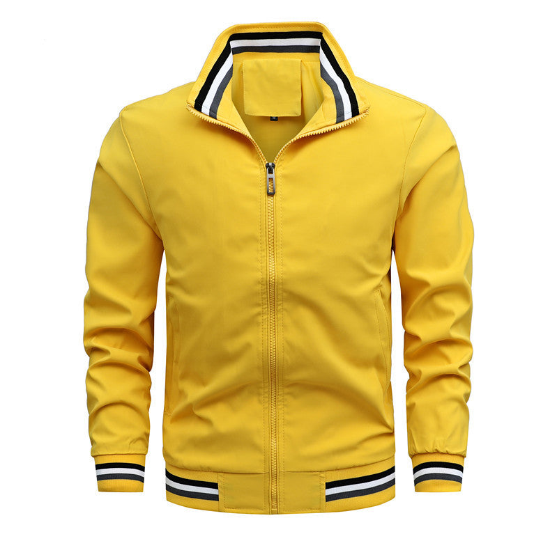 Herren Lässige Bomberjacke aus windabweisendem Nylon mit gestreiften Rippbündchen und Stehkragen Shop Nory