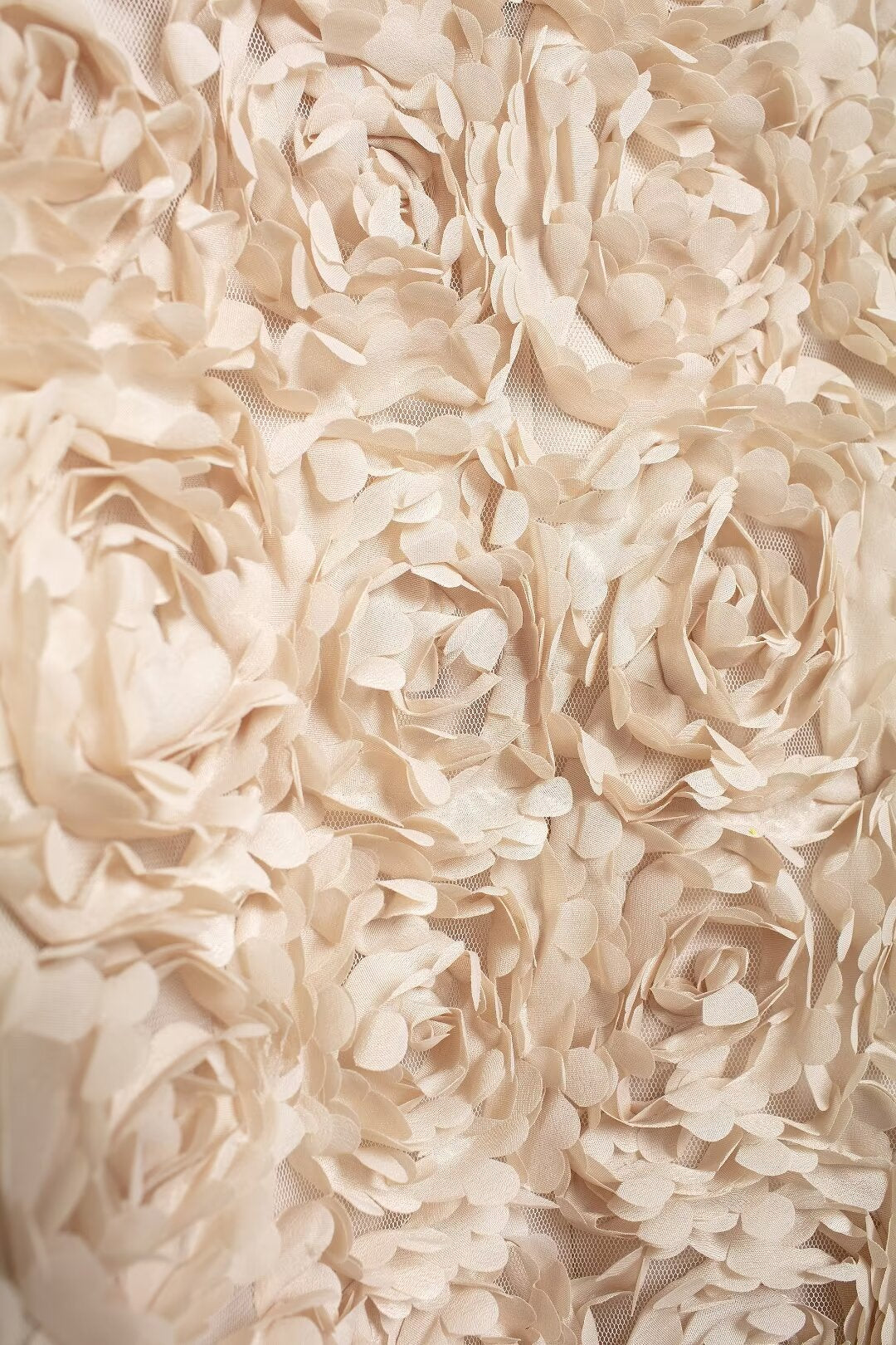 Floral Applikation Kurzjacke