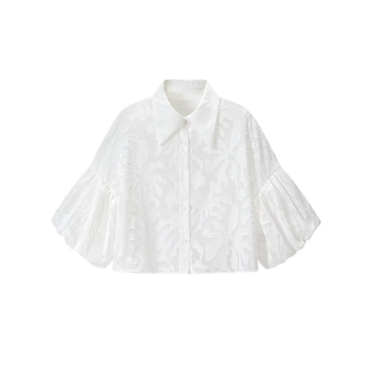 Damen Transparente Organza-Bluse mit weitem Schnitt, Volumenärmeln und Hemdkragen Shop Nory