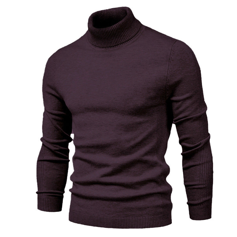 Herren modischer Rollkragenpullover aus feiner Merinowolle