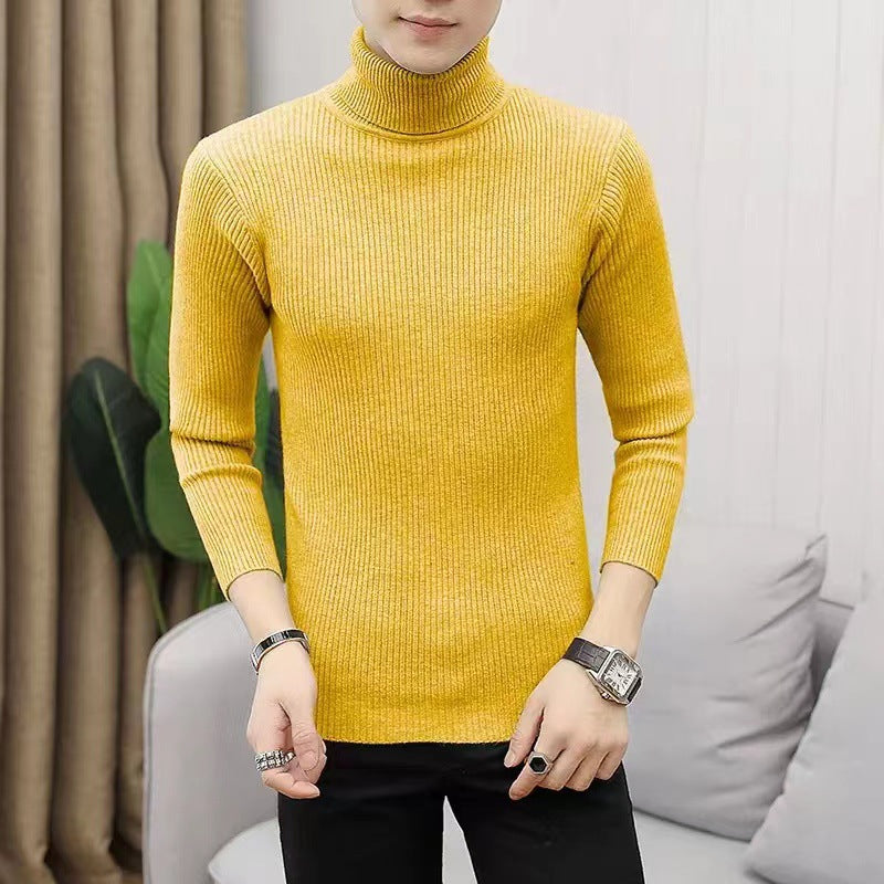 Herren Stehkragen Pullover aus ribbeltem Strick