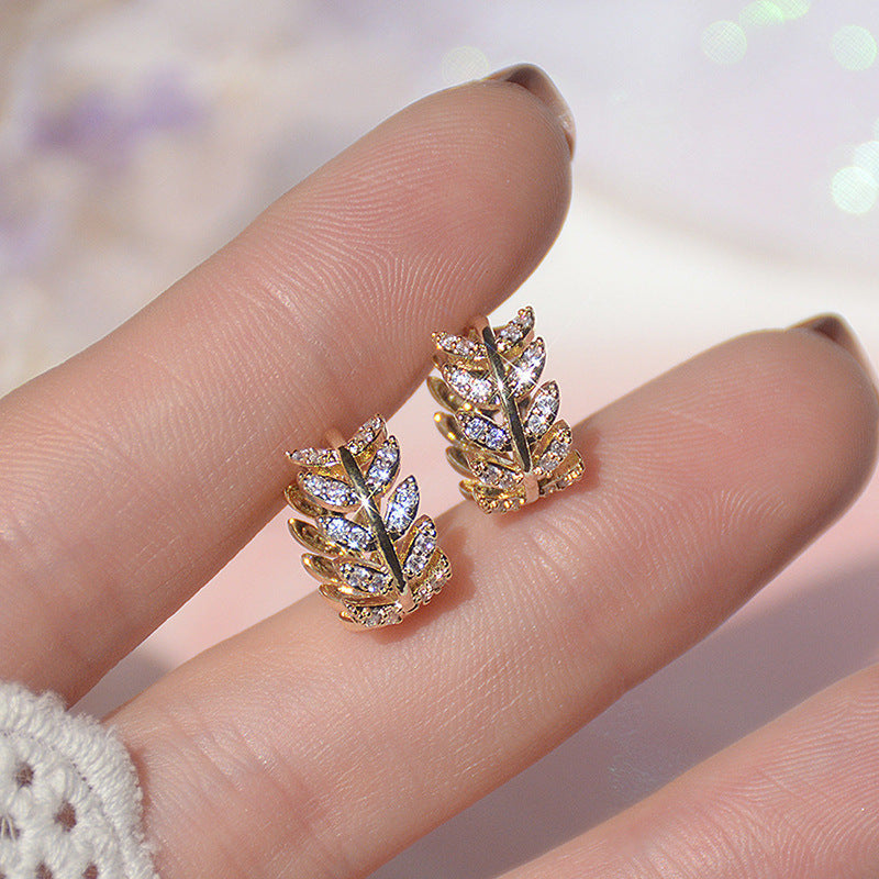 Diamantkreis | Diamant Reifenohrringe für Frauen | Shop Nory