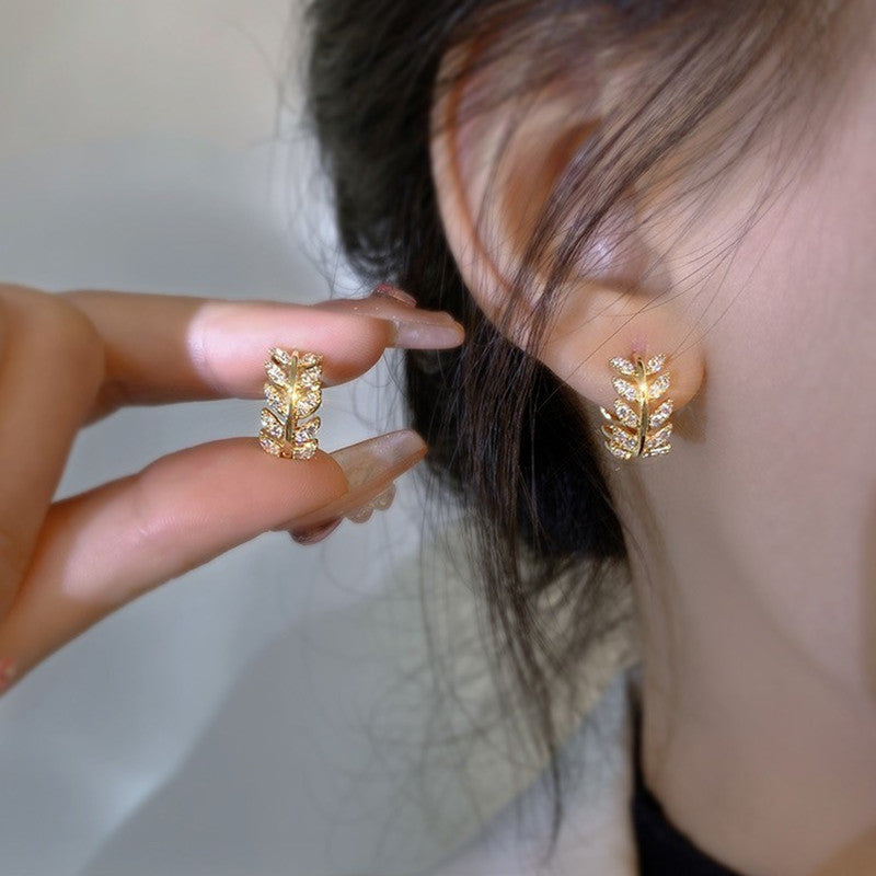 Diamantkreis | Diamant Reifenohrringe für Frauen | Shop Nory