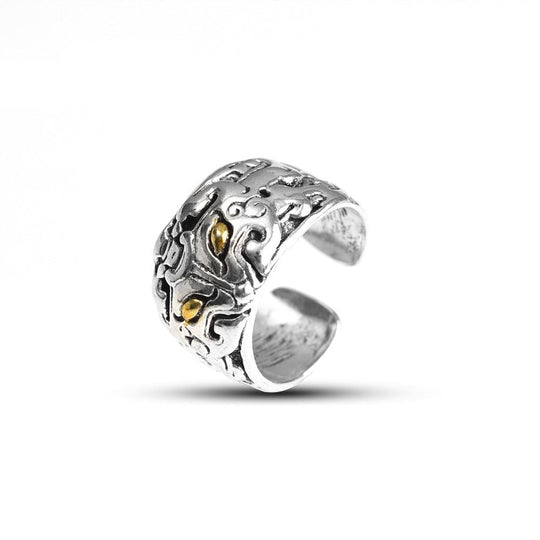 Feng Shui Ring | Symbol für Reichtum, Glück und Wohlstand | Shop Nory