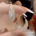 Elegante Exquisite Luxus Netz Zirkon Ohrringe | Shop Nory