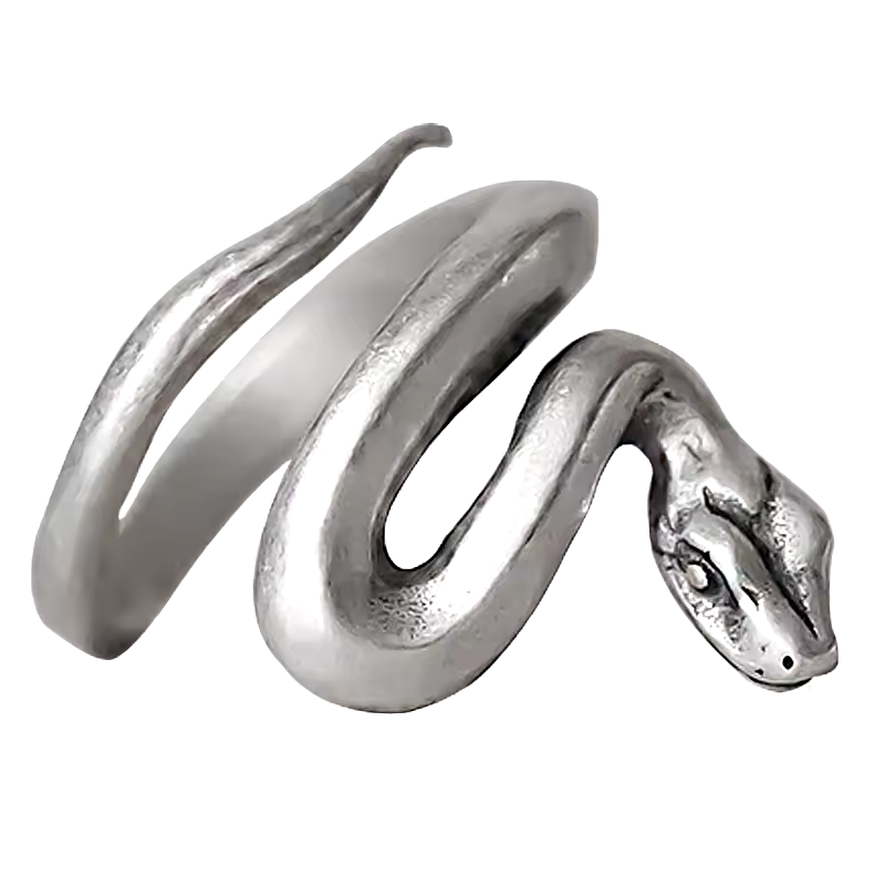Sterling Silber Glatter Schlangenring | Shop Nory
