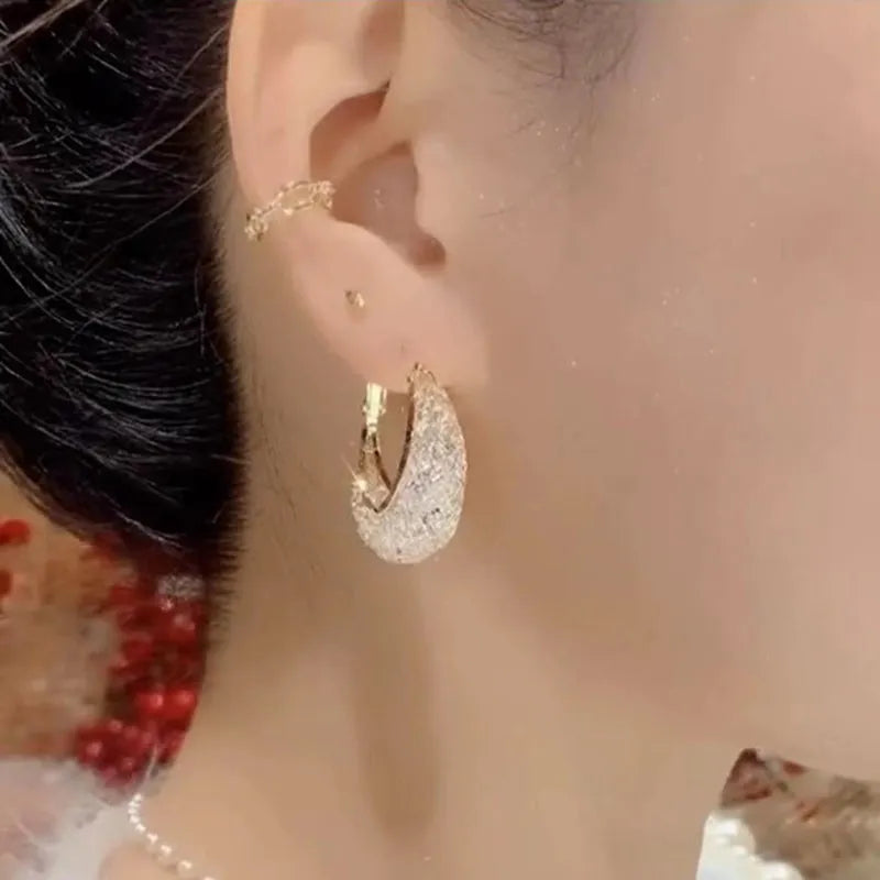 Elegante Exquisite Luxus Netz Zirkon Ohrringe | Shop Nory