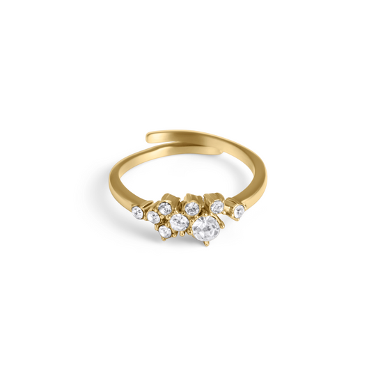Sparkle Burst Ring | Shop Nory