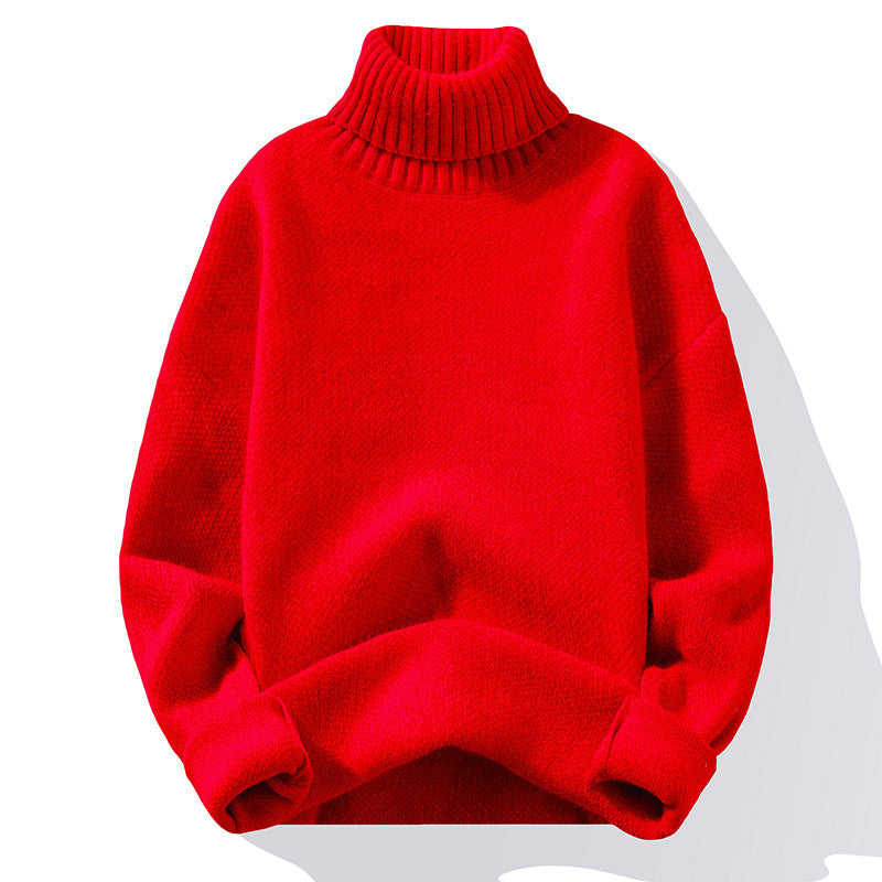 Rollkragenpullover Strick