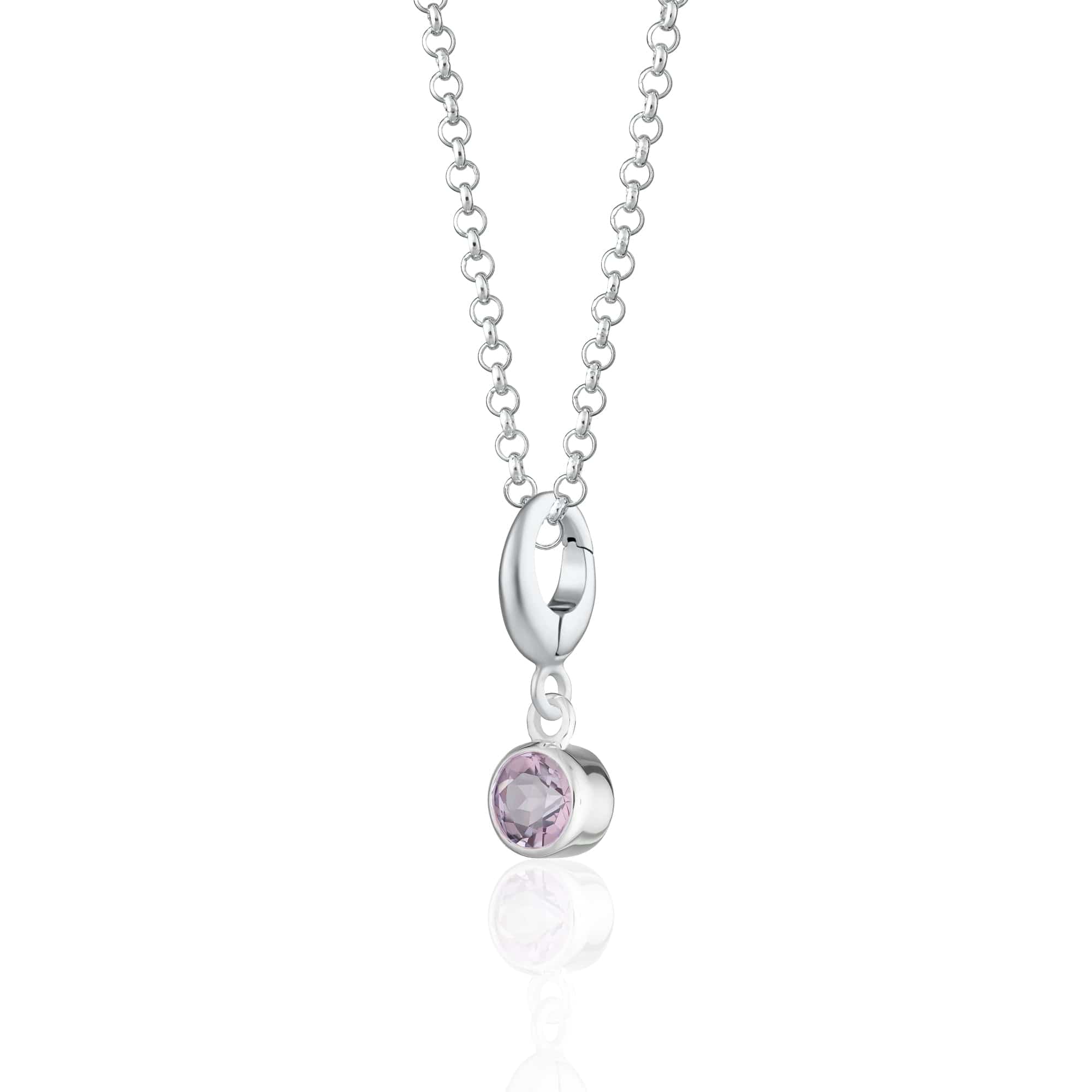 February Geburtsstein Charm Halskette (Amethyst) | Shop Nory