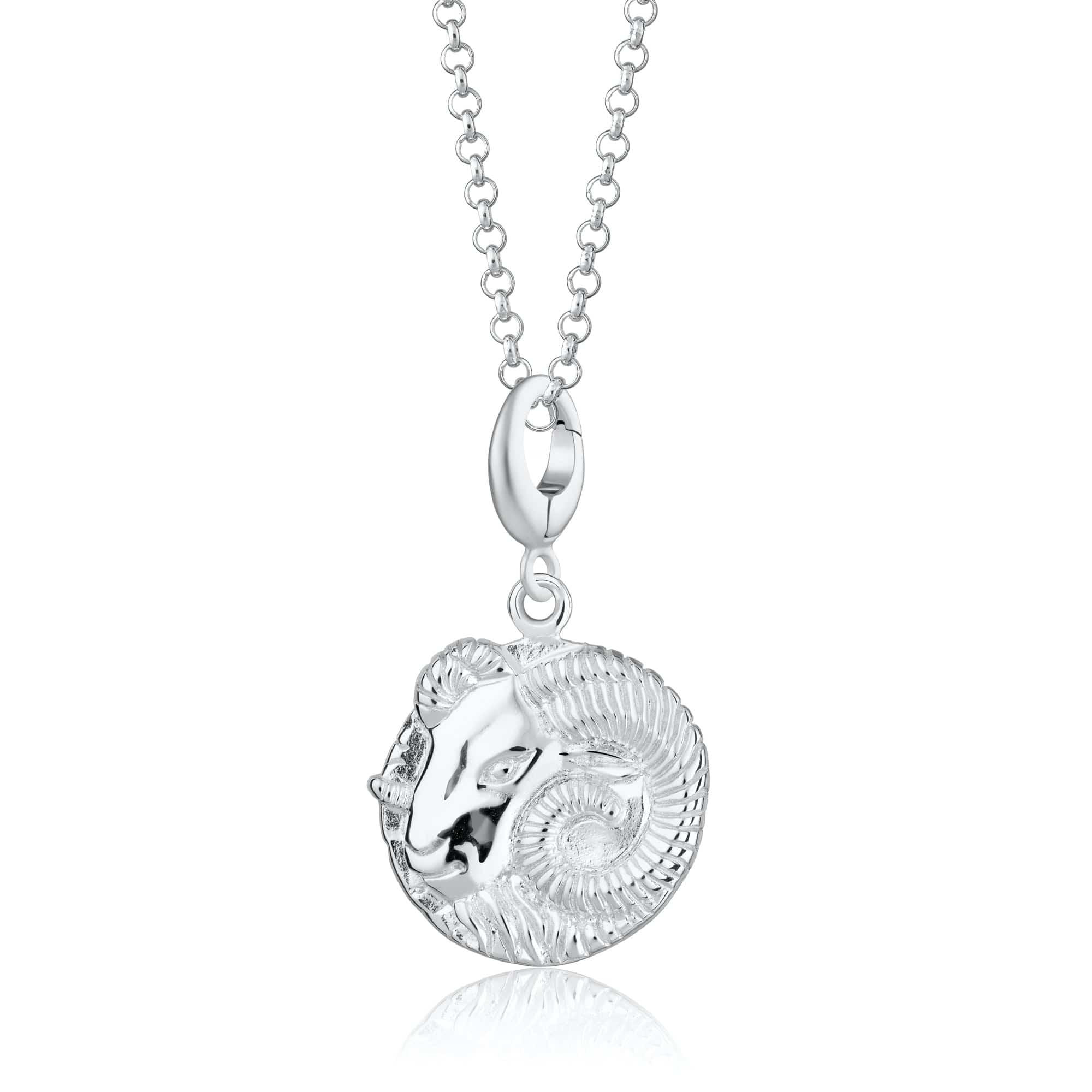 Silber Aries Zodiac Charm Halskette | Shop Nory