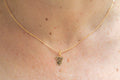 Kette Koala 16 Karat vergoldet | Shop Nory