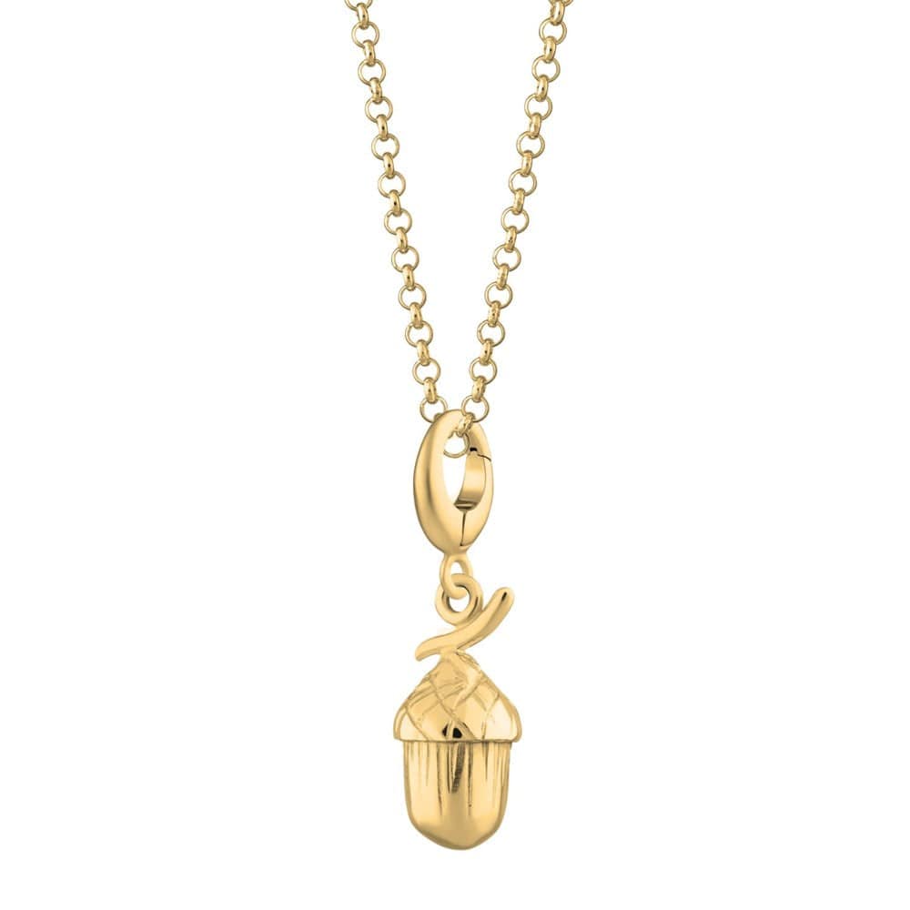 Goldeicheln Charm-Halskette | Shop Nory