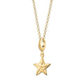 Gold Origami Stern Charm Halskette | Shop Nory
