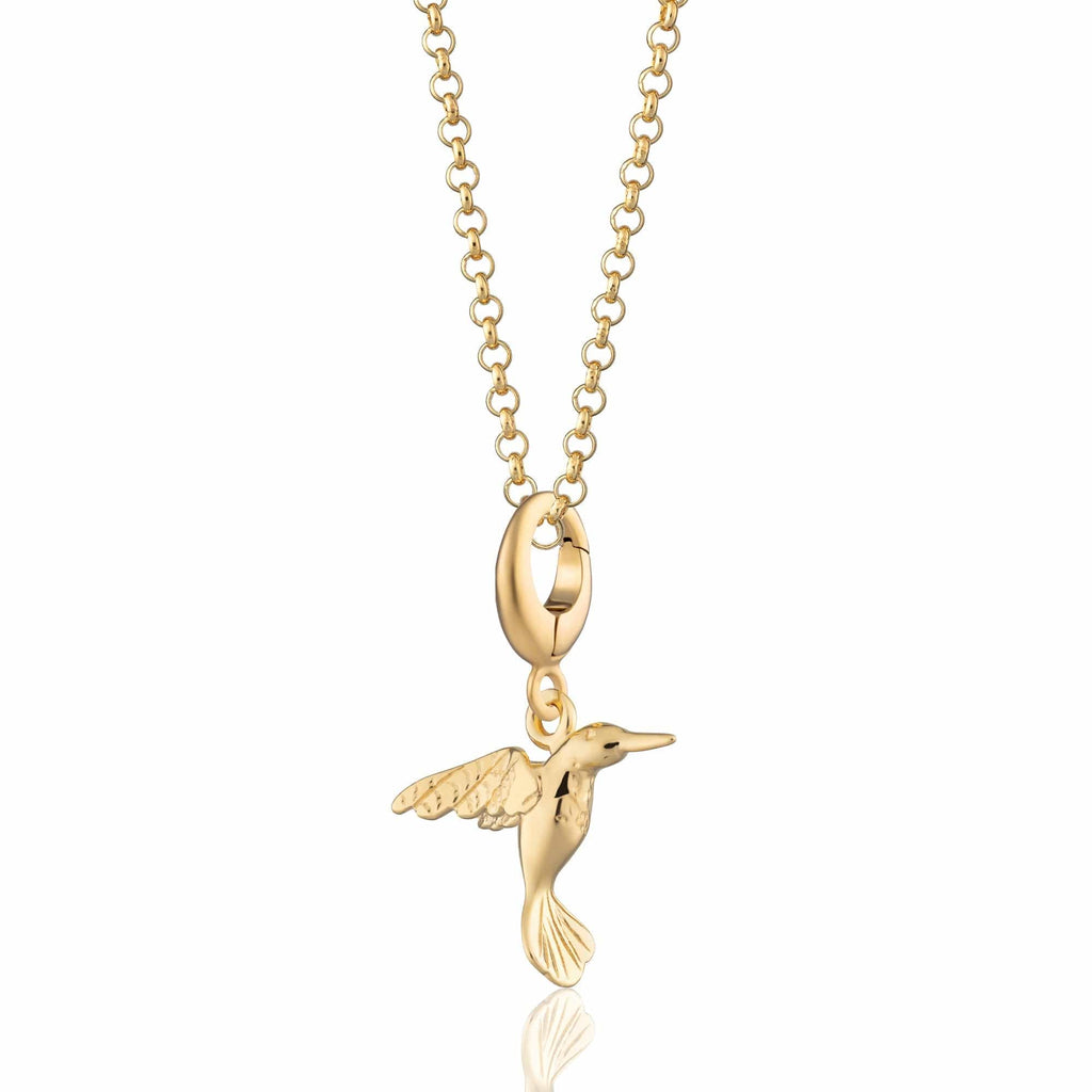 Gold Kolibri Charm Halskette | Shop Nory