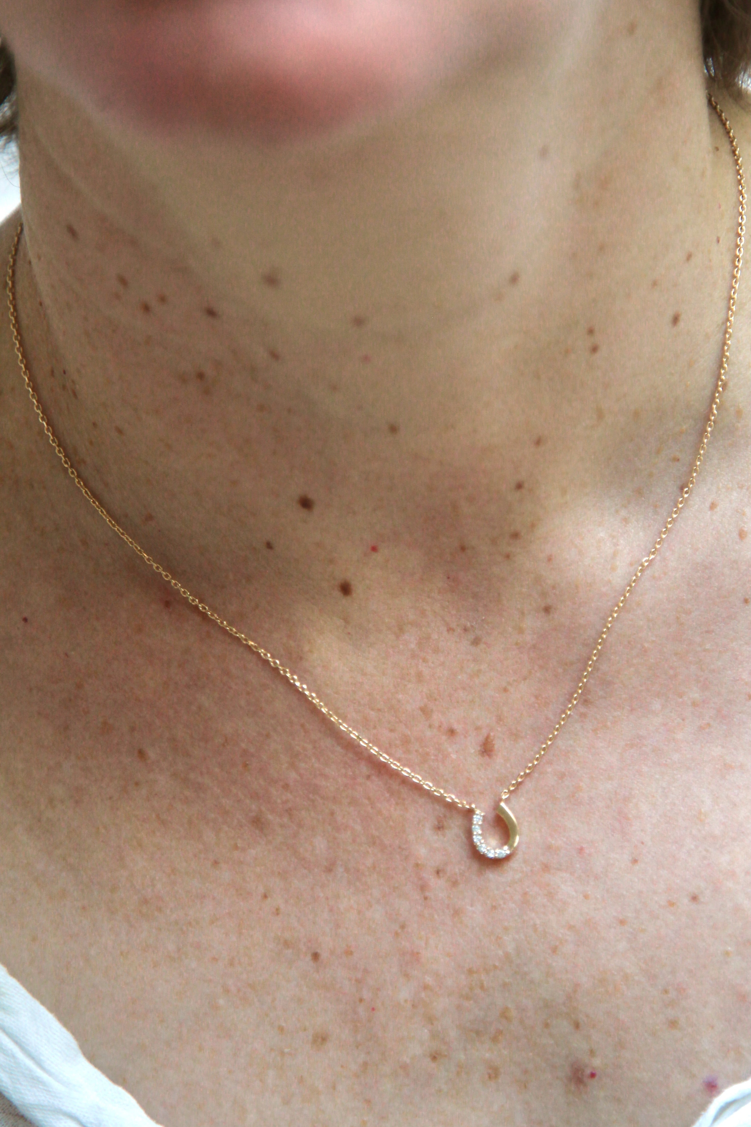 Vergoldete Halskette mit Hufeisen-Anhänger und Zirkonia – Ihr persönlicher Glücksbringer | Shop Nory